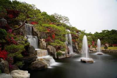 杜鹃花 瀑布 花园 池塘 水 大自然 自然 石头 新鲜 植物