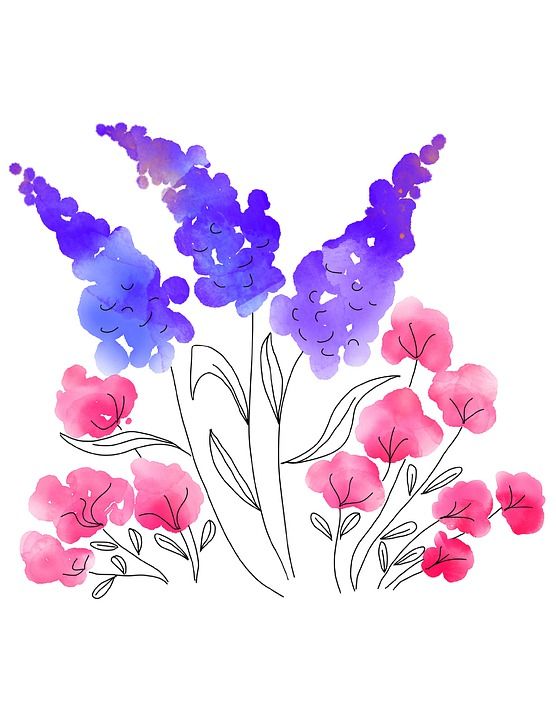 水彩的花朵 水彩 春天 花的 花朵 花束 水彩画 开花 画画