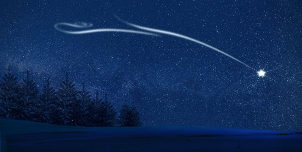 北方之星, 星星, 夜晚, 夜空, 天空, 树木, 针叶树, 针叶, 针叶林