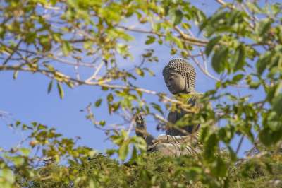 佛像 禪 中国 佛 宗教 人文 修行 背景 廟 Zen 神明