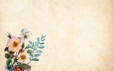 花 花的 纸 优质的 玫瑰 花束 簇 叶子 装饰 剪贴簿