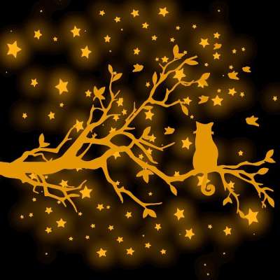 猫 猫科动物 树 枝杈 树叶 鸟类 星星 动物 夜晚 闪亮的