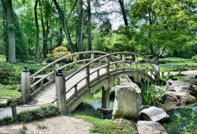 桥 公园 花园 日本花园 小路 走道 风景 自然 风景 风景