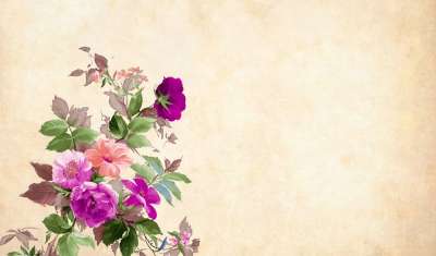 花 花的 纸 优质的 玫瑰 花束 簇 叶子 装饰 剪贴簿