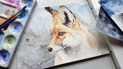 动物 狐狸 自然 绘画 艺术 颜色 刷子 水彩 狐狸 绘画