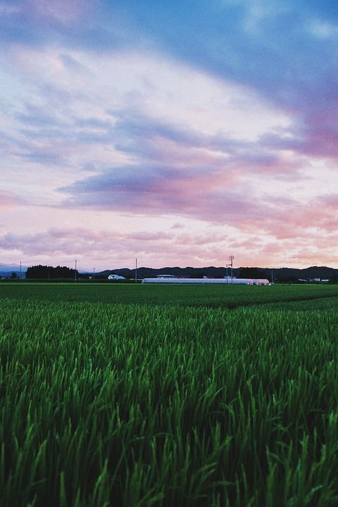 摄影 艺术 像素画 今日图片 Instagram 自然 安装好