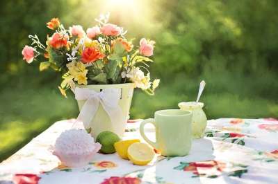 夏天 静物 花园 户外 花朵 盘子 绿色小花 绿色生活