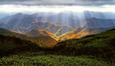 秋天 山 白-三七 森林 丘陵 景观 阳光 山脉 多山