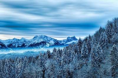 冬天 森林 山 雪 自然 高山 树木 针叶树 蓝色的 景观