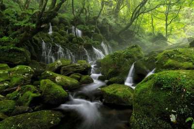河 溪流 弹簧 级联 水 多雾路段 薄雾 石头 青苔 景观