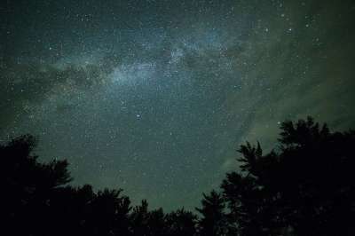 黑暗的 银河 夜晚 轮廓 天空 星星 树木 剪影 树剪影 星空