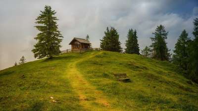 树 草 景观 全景 自然 爬坡道 小屋 阿尔姆 高山小屋