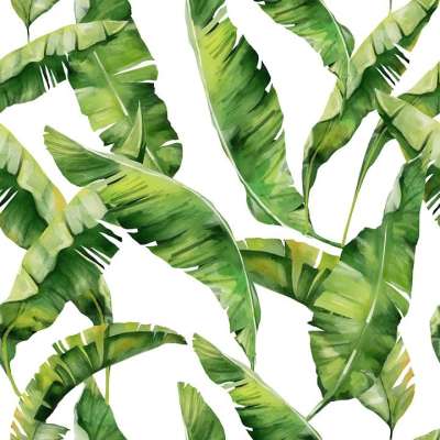 床单 热带 植物 棕榈 夏天 异国情调 棕榈树 植物群 海滩