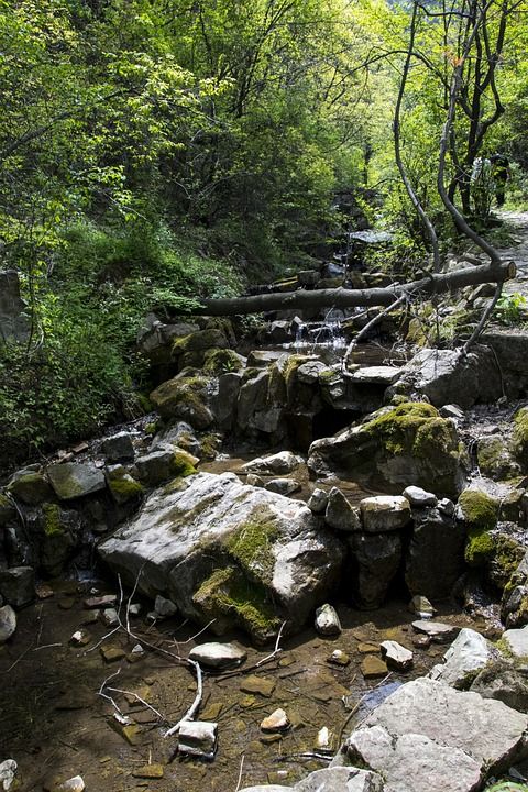 自然 山川 溪流 泉水 山泉 森林 地下水 森林公园 山西