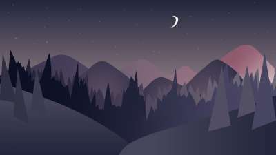 森林 山 夜空 轮廓 阴影 月亮 星星 天空 夜晚 黑暗的