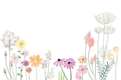 花 花瓣 春天 花的 艺术品 粉彩 画画 装饰 开花 盛开