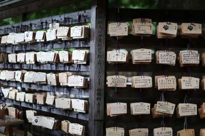 城市 東京 人文 寺廟 神社日本 東京 人文 人文 人文 人文