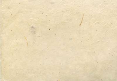 纸 白色的 灰色的 手工制作的 平铺纸 纸莎草纸 羊皮纸 结构体