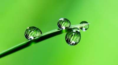 叶子 飞沫 反射 草 水 滴 雨滴 露 露滴 植物 自然