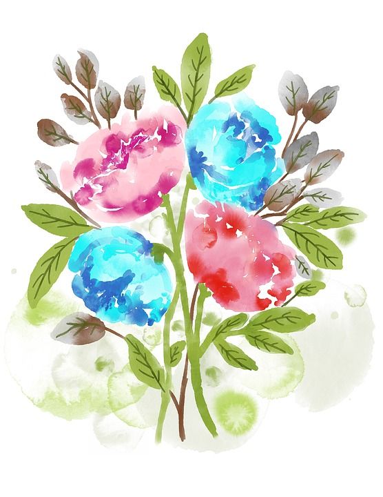 水彩花 花束 水彩 花的 花朵 浪漫的 绘画 画画 装饰性的