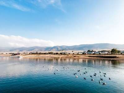 青海湖 湖面 山川 水鸟 鸭子 青海湖 青海湖 青海湖 青海湖
