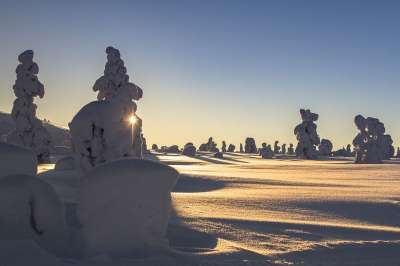 拉普兰 冬天 雪 景观 寒冷的 芬兰 下雪的 雪景 冬天的心情