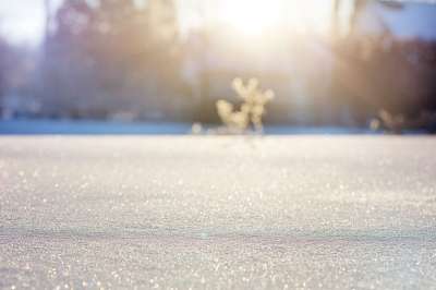 雪 原野 阳光 日出 早晨 下雪的 冬天 寒冷的 户外 景观