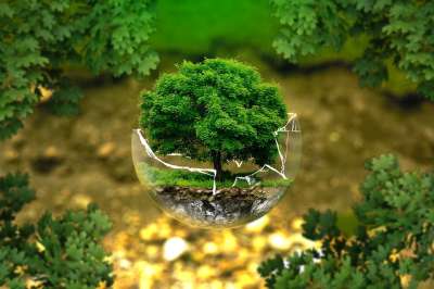 环境保护 自然保护区 生态 生物 玻璃球 森林 绿色 有机 生活