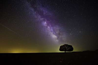 树 星星 夜晚 夜空 树剪影 银河 星空 星夜 观星 宇宙