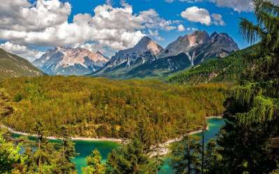 山 湖 森林 树木 林地 高山 阿尔卑斯山 全景 景观