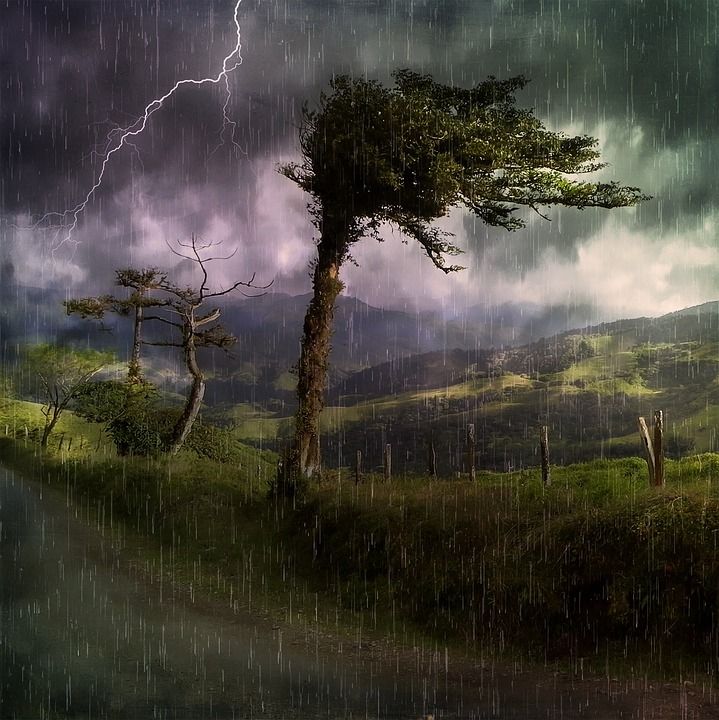 景观 自然 小路 草原 森林 树木 天堂 云 风暴 雷雨 雨