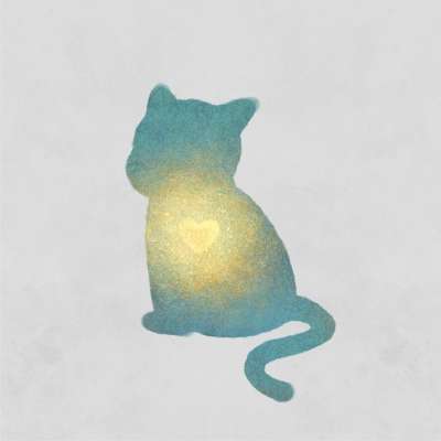 猫 心 光 梦 爱 小猫 宠物 动物 轮廓 创造力 想象力