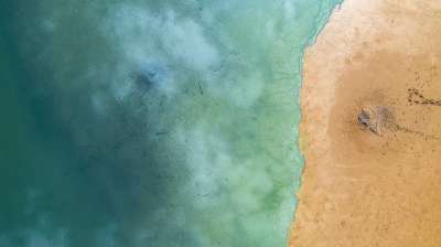 海 海滩 沙 海滨 支撑 沙滩 海岸 海岸线 海洋 海景