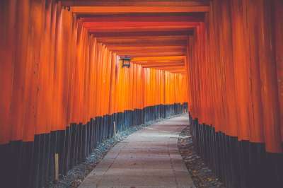 神社大门 鸟居隧道 小路 伏见稻荷大社 通道 通路 木头 地标