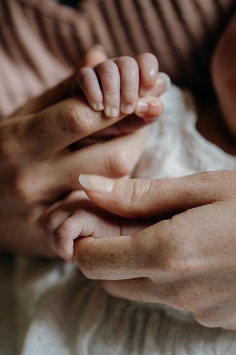 母亲 婴儿 手 一起 爱 支持 家庭 可爱的 孩子