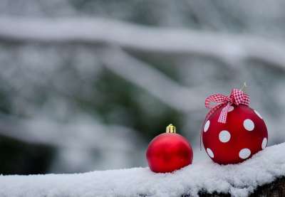 冬天 雪 祝贺 圣诞节快乐 节日快乐