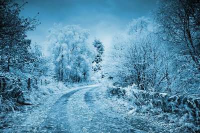 冬天 霜 雪 寒冷的 冻结 背景 路 树木 桥 石头 石桥