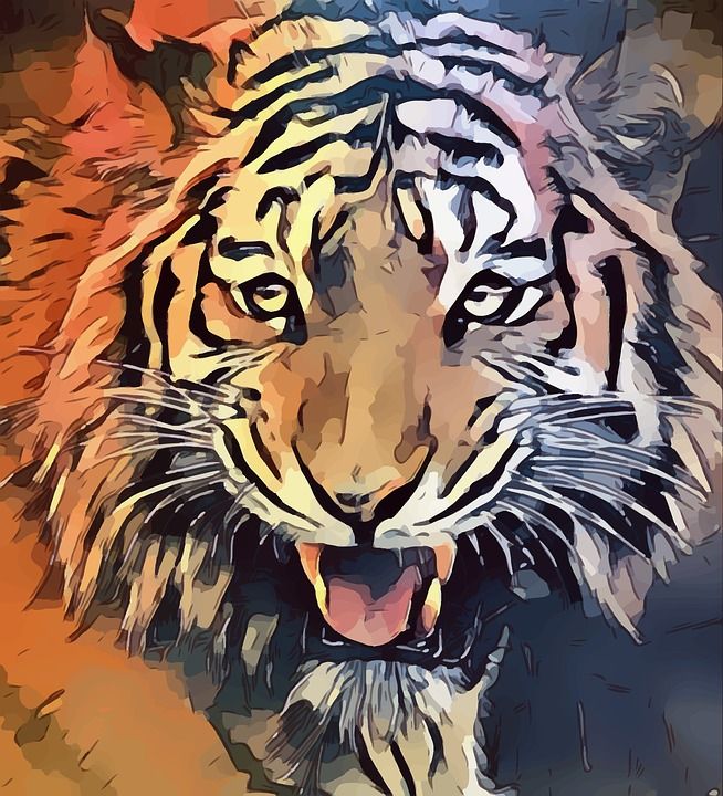 老虎 动物 牙齿 自然 设计 荒野 野生动物 猫 象征