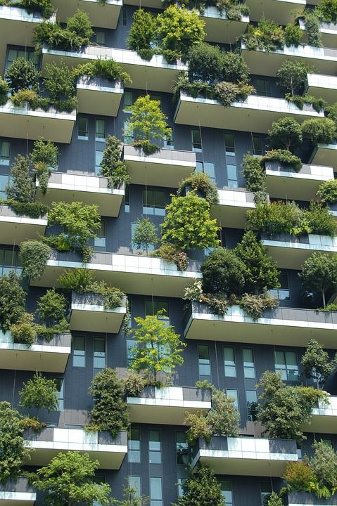 结构 建造 绿色建筑 高楼 现代的 图案 植物 视窗 绿色的窗口