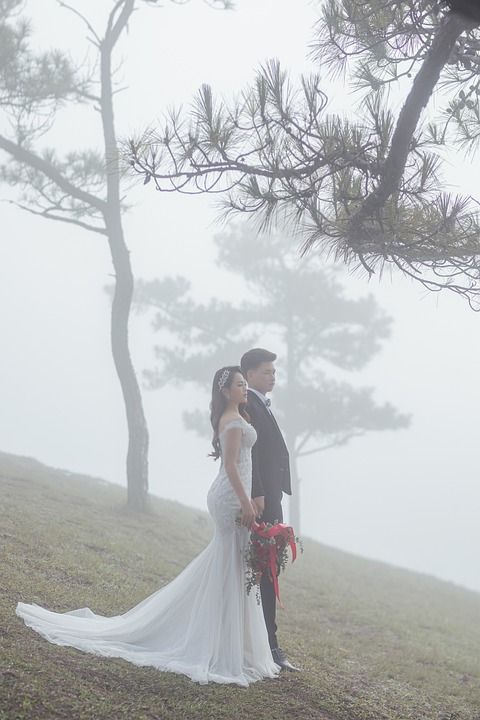 夫妻 婚礼 多雾路段 森林 新娘 马夫 浪漫的 新婚 婚礼当天