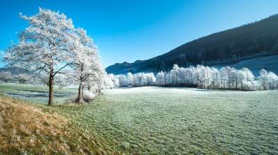 原野 树木 霜 雪 山 草地 冬天 冻结 寒冷的 冬季魔法