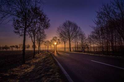 树木 景观 日落 黄昏 户外 小路 路