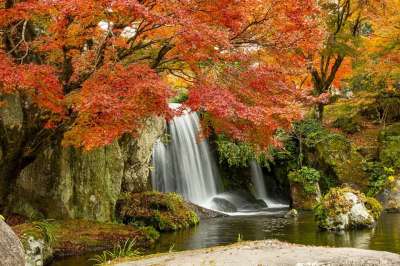 瀑布 级联 河 溪 树木 树叶 叶子 岩石 水 课程 森林