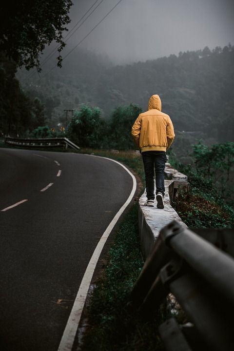旅行 流浪 树木 步行 喜怒无常 森林 路 景观
