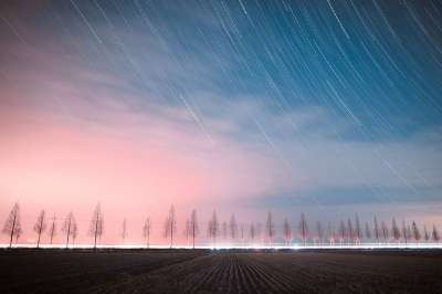 高清壁纸 树木 黄昏 户外 星光 韩国 路 星星 4K 壁纸
