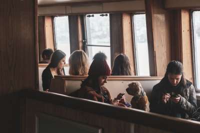 乘客 狗 旅行 女性 女孩们 动物 人们 运输