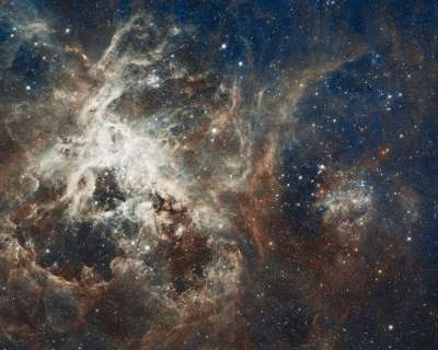 银河 星云 星系 星星 狼蛛星云 剑鱼座30 Ngc 2070