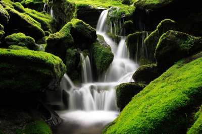 瀑布 Moss 韩国 山 谷 绿色 森林 树 干净的 很酷的
