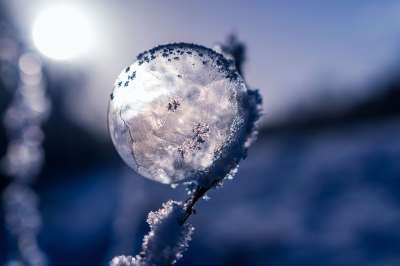 肥皂泡 冻结 冷冻肥皂泡 冬天 冰晶 寒冷的 雪 子弹 霜气泡