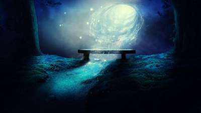 高清壁纸 树木 小路 星星 星系 星空 虫洞 草地 长椅 告别